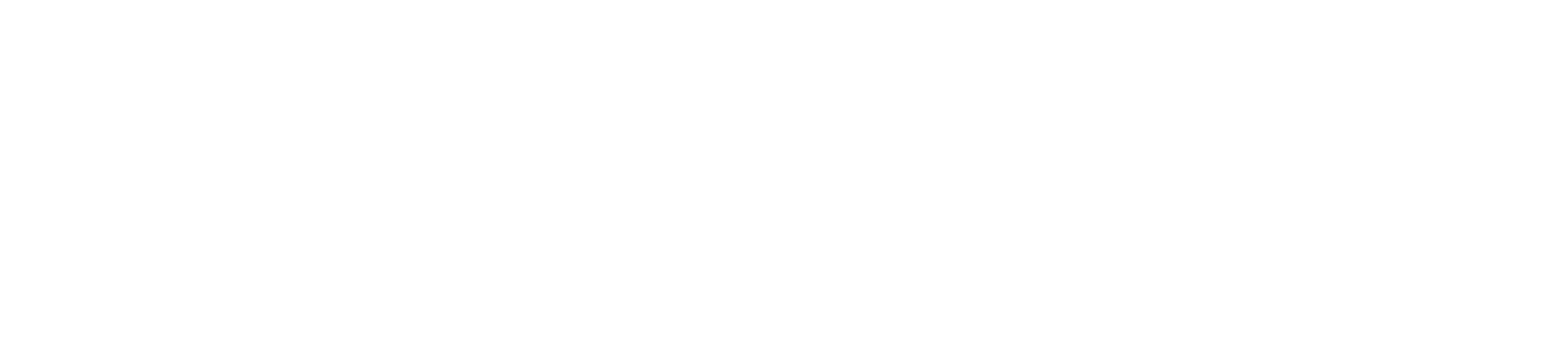 logo-website